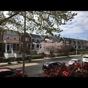 Meet your Posher, Sydney